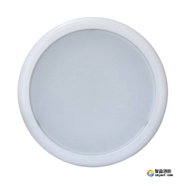 云南海灣HW-ZFJC-E9W-N657集中電源集中控制型消防應(yīng)急照明燈具