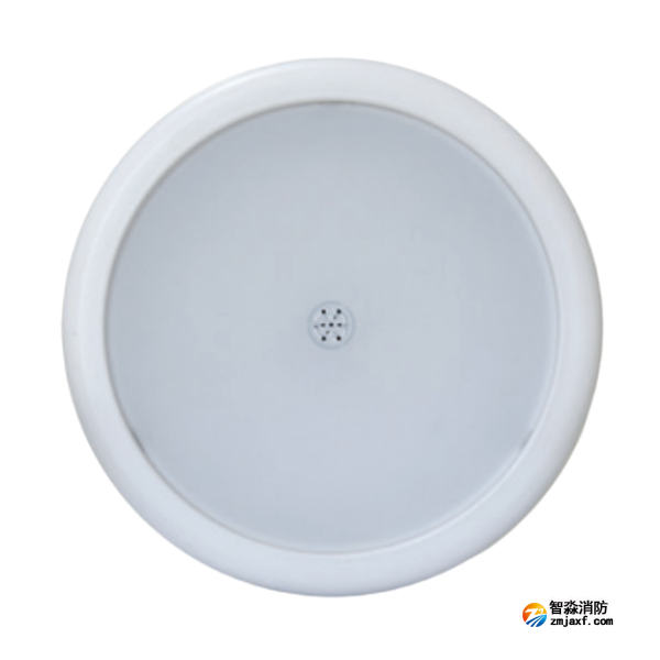 云南海灣HW-ZFJC-E6W-N656SG聲光感應(yīng)型消防應(yīng)急照明燈具