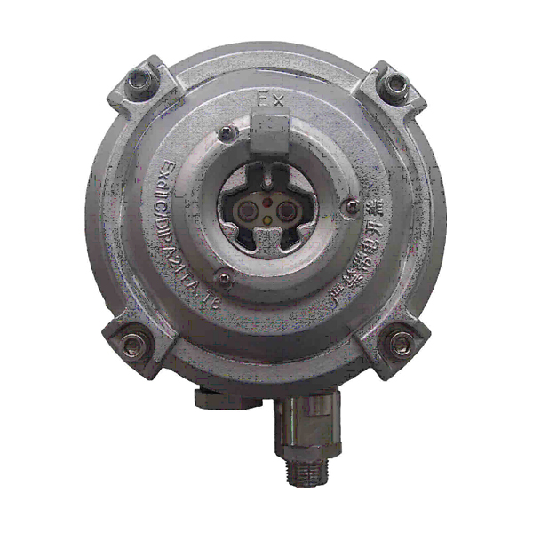 云南海灣D-9107R防爆點(diǎn)型紅外火焰探測(cè)器